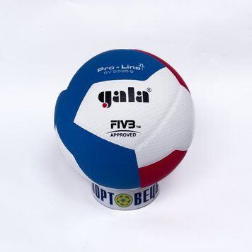 М'яч волейбольний Gala Pro-Line BV5595 (Гуртова торгівля) BV5595 фото
