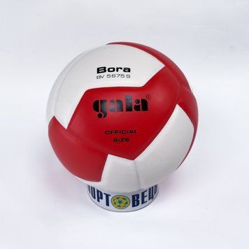 М'яч волейбольный Gala Bora 10 Bora 10 BV5671SC -А фото