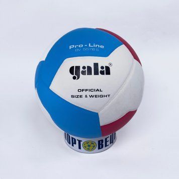 М'яч волейбольний Gala Pro-Line 10 5576 BV5576S фото