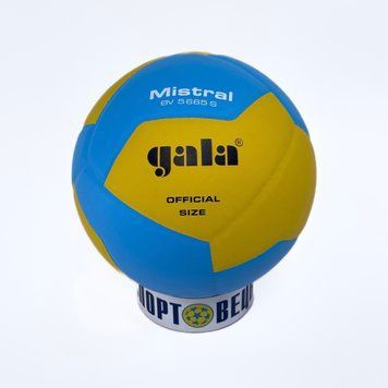 М'яч волейбольний Gala Mistral 10 BV5665S фото