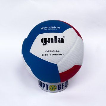 М'яч волейбольний Gala Pro-Line BV5585 BV5585 фото